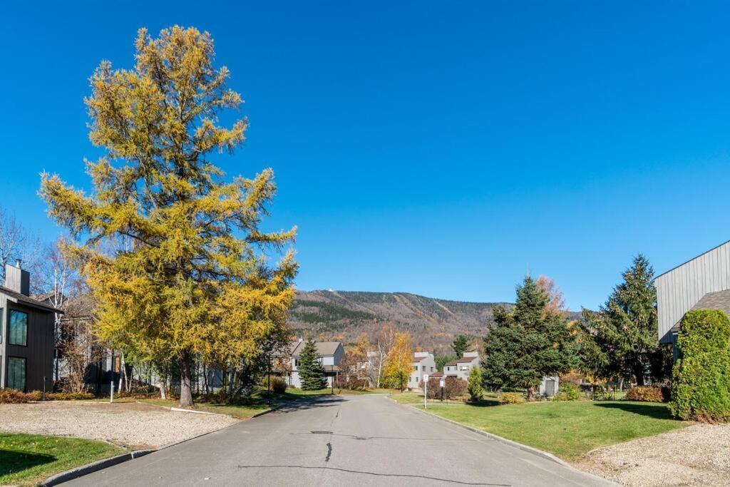 Вілла Initial - Sommet - Mont-Sainte-Anne Бопре Екстер'єр фото